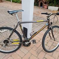 Bici mtb Bottecchia 883R