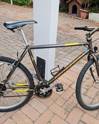 Bici mtb Bottecchia 883R