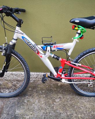 MTB ruota da 24