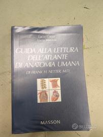 Guida alla lettura dell'atlante di anatomia umana