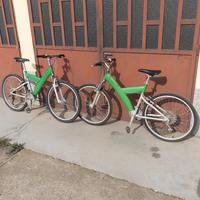 Bicicletta Mountain bike Pininfarina - coppia