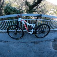 Specialized stumpjumper 29"