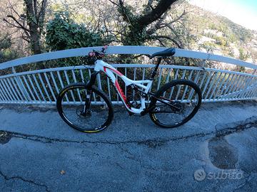 Specialized stumpjumper 29"