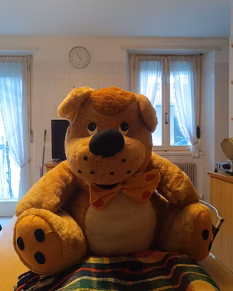peluche 