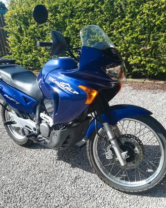 honda transalp 650