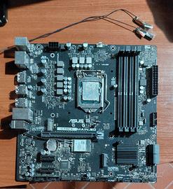 Kit Intel Core i7-11700 + Scheda Madre ASUS G10CE