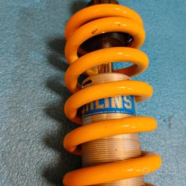 Ammortizzatore Ohlins monster
