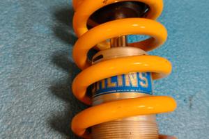 Ammortizzatore Ohlins monster