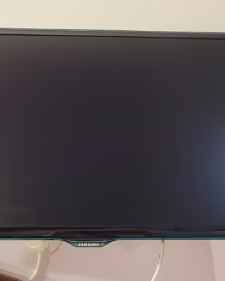 televisore/monitor samsung modello t24d390ew