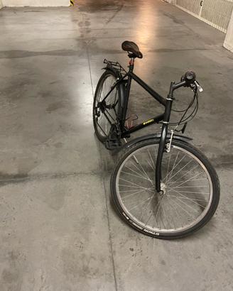 Bicicletta mountain bike