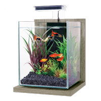 Acquario 10 Litri con filtro e luce led