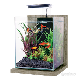 Acquario 10 Litri con filtro e luce led