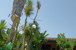 Settembre Villino con giardino a due passi dal mar