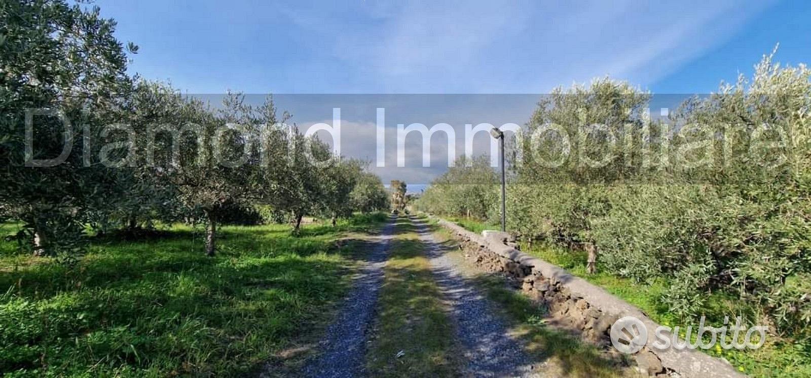 Terreno agricolo parz. edifi San Giovanni la punta - Vista 3