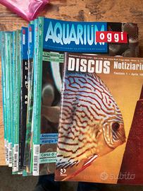 Acquarium oggi 1998/2001