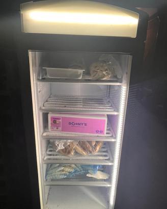 Freezer a colonna