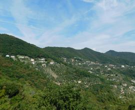 CAMOGLI collina vendiamo  ufficio in contesto comm