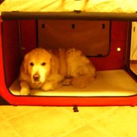 CUCCIA CANE PORTATILE IN TESSUTO