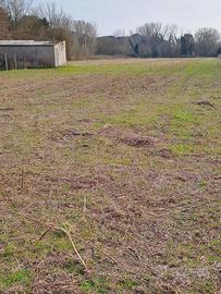 Terreno di 1300mq a portoviro in via caomarina