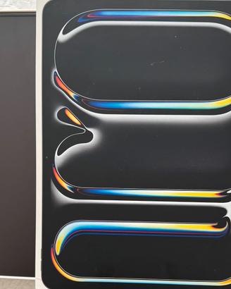 iPad Pro 13 M4 nero siderale 256 gb WiFi