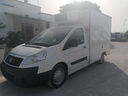 fiat-scudo-frigo