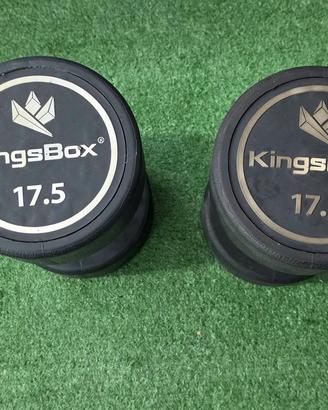 Coppia manubri kingsbox 17.5 kg
