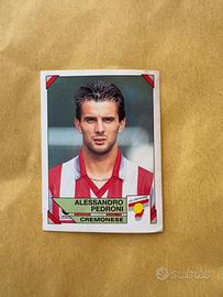 Figurina sticker Alessandro Pedroni Panini 1993/94