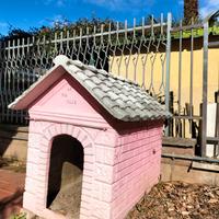 casetta per cani