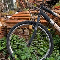 Bicicletta uomo ragazzo