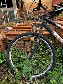 Bicicletta uomo ragazzo