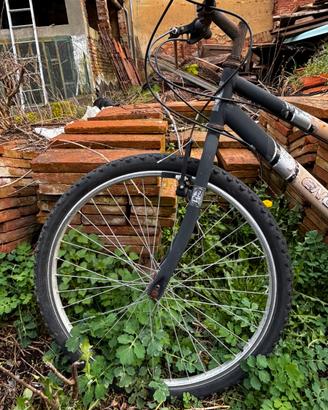 Bicicletta uomo ragazzo