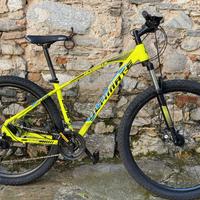 Bici mtb