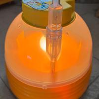 Incubatrice Covatutto Novital 7