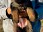 Immagine 4