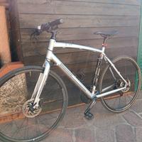 bianchi c sport 