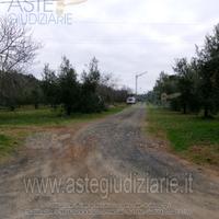 Terreno Agricolo Cecina [A4342855]