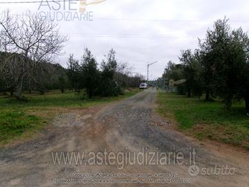 Terreno Agricolo Cecina [A4342855]