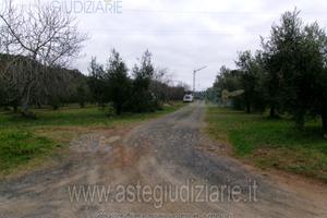 Terreno Agricolo Cecina [A4342855]