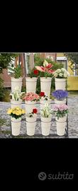 5 espositore fiori e piante orto verticale