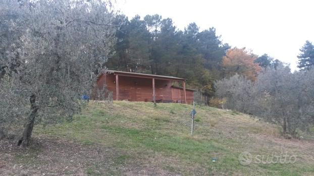 Terreno con annesso agricolo loc Ferrano, Pelago