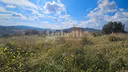 ampio-terreno-agricolo-vicino-autostrada-ter-56