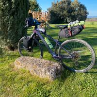 Bici mtb rebel carbonio da 29