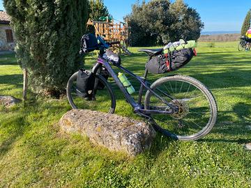 Bici mtb rebel carbonio da 29