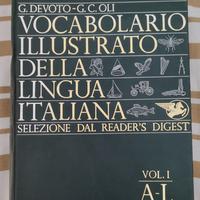 VOCABOLARIO DELLA LINGUA ITALIANA