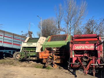 Rotopressa gallignani