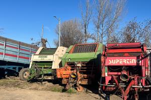 Rotopressa gallignani