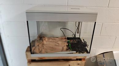 Acquario Askoll pure L