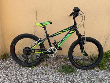 Mtb bambino