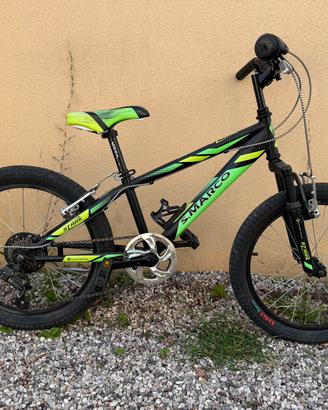 Mtb bambino