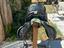 Immagine 3